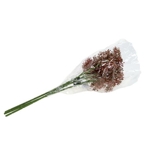 Floristik24 Deko-Zweig Fruchtstand 38cm 3St