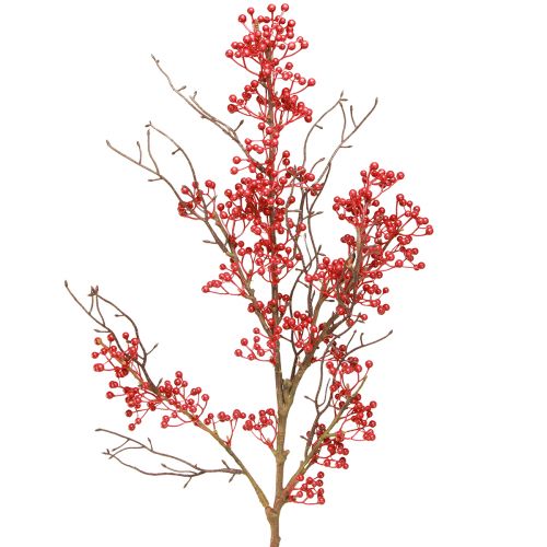 Floristik24 Beerenzweig Rote Beeren Zweig Deko Herbst Winter L78cm