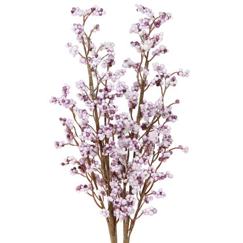Floristik24 Beerenzweig Weihnachtszweig Lila Weiß Frost L60cm 2 St