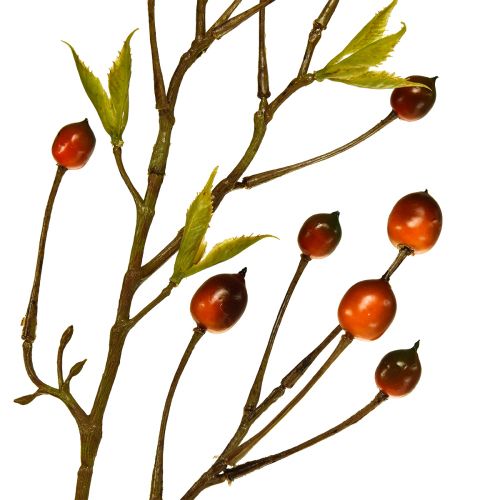 Floristik24 Beerenzweig Rot Künstlich Kunstzweig Dekozweig 82cm