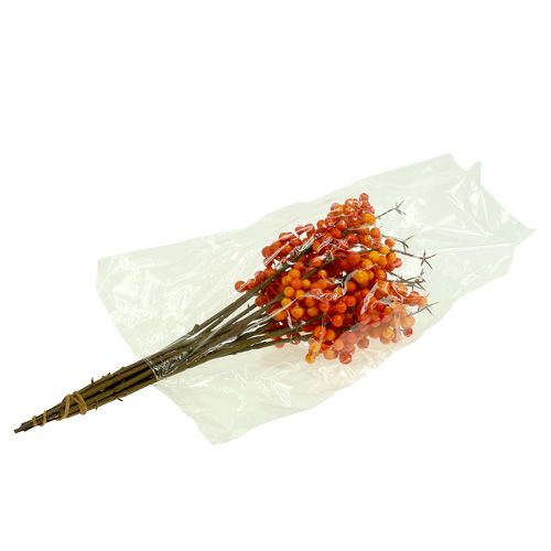 Floristik24 Beerenzweig orange L 30cm 12St