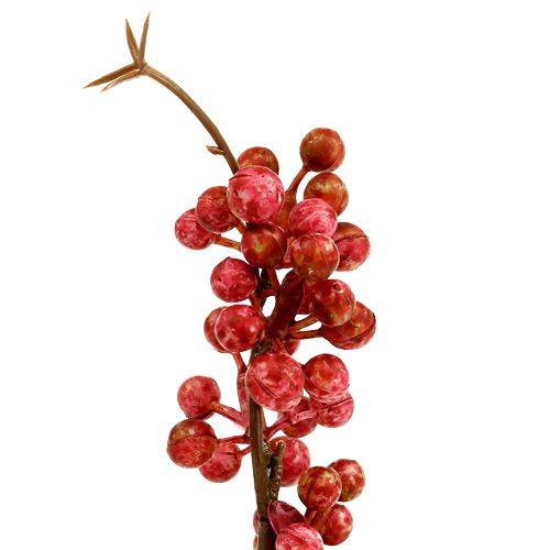 Floristik24 Beerenzweig rosa L 28cm 12St