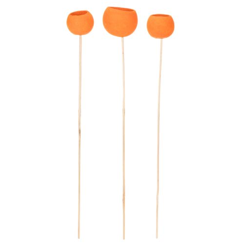 Bell Cup Mix Orange auf Holzstab 15 Stück ca. Ø 3–5,5cm | Floristik24.ch