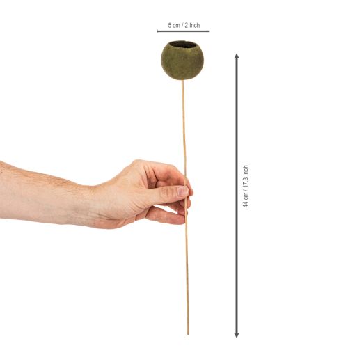 Bell Cup am Stiel Holz Grün ca. 5–7 cm 15 Stück | Floristik24.ch