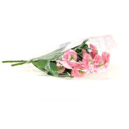 Floristik24 Bellisbund Rosa 24cm 2St