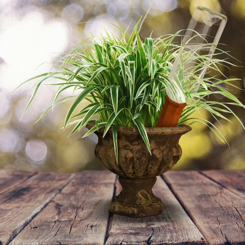 Terrakotta Bewässerungszapfen für Flaschen, 18 cm, terrakottafarben | Floristik24.ch