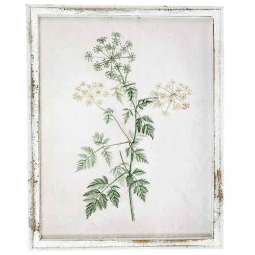 Artikel Vintage Wanddeko, Bild mit Rahmen Holz Getrocknete Pflanze 40×50cm