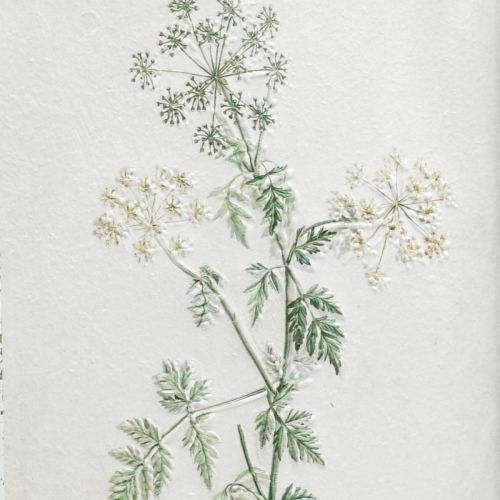 Floristik24 Vintage Wanddeko, Bild mit Rahmen Holz Getrocknete Pflanze 40×50cm