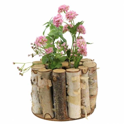 Floristik24 Birkengefäß mit Reagenzgläsern Natur Ø17cm H13cm