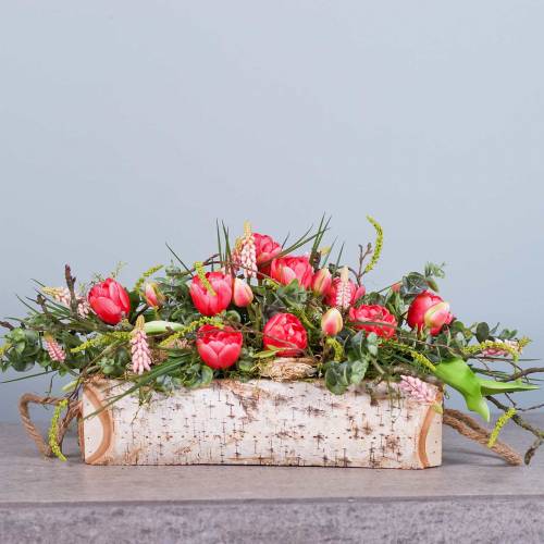 Floristik24 Pflanzkasten Birke mit Seilgriffen 38x16cm H9cm