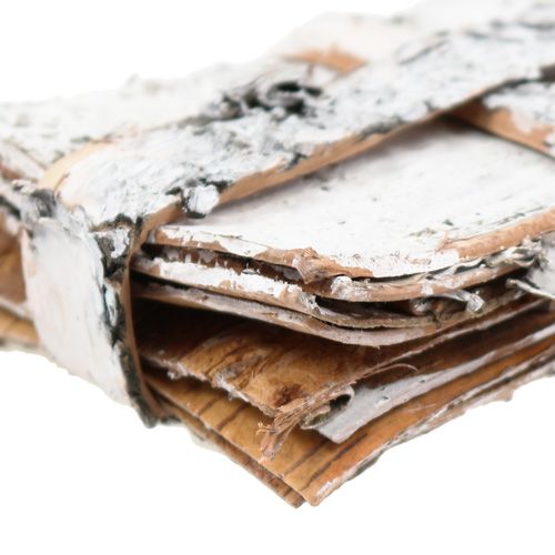 Floristik24 Birkenstreifen 8cm x 11,5cm 8 St