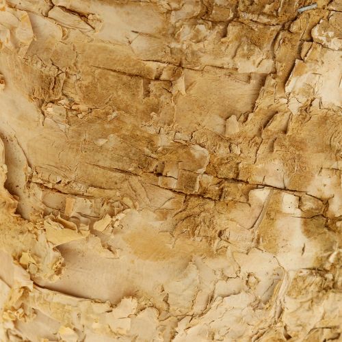 Artikel Übertopf rund Naturdeko Rinde Birkentopf Ø12cm H10cm 5St