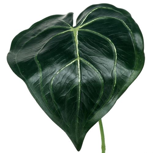 Blatt Caladium 32cm 2St
