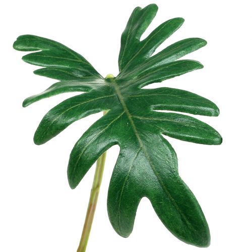Floristik24 Blatt Philodendron 31cm Grün 12 St