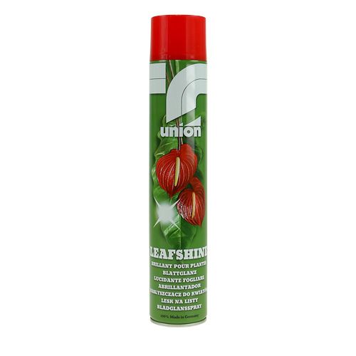 Floristik24 Blattglanz Spray 400ml