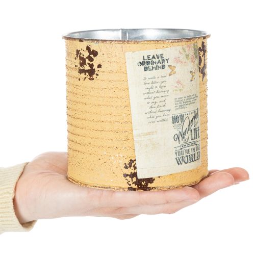 Artikel Blechdose Deko Dose Apricot Metall Pflanztopf Ø11cm H10,5cm