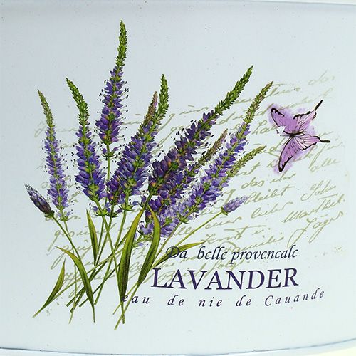 Floristik24 Blechschalen 3-Set Weiß mit Lavendelmotiv