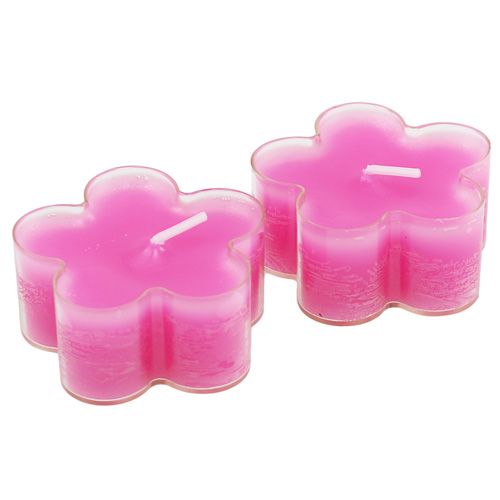 Blütenlicht Pink 12St | Floristik24.ch