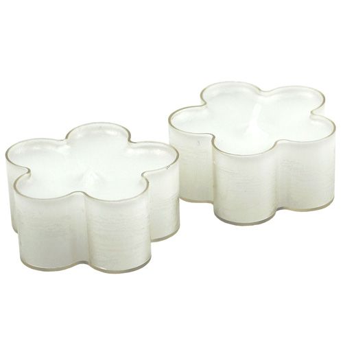 Blütenlicht Weiß 12St