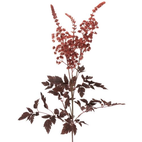 Künstliche Astilbe Rotbraun 80cm Langstielig für Dekoration online kaufen | Floristik24.ch