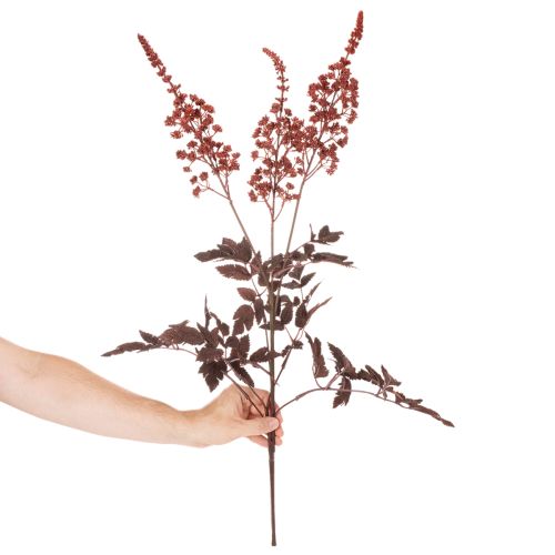 Künstliche Astilbe Rotbraun 80cm Langstielig für Dekoration | Floristik24.ch