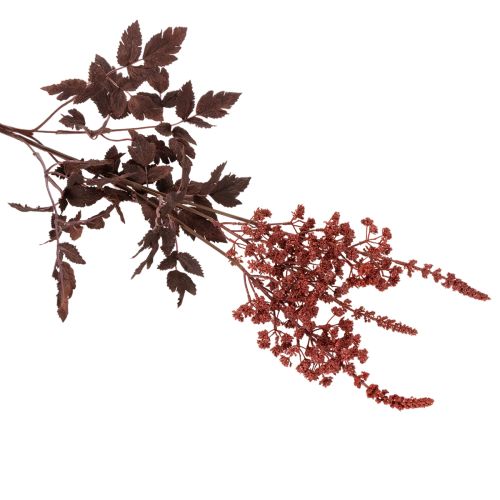 Künstliche Astilbe Rotbraun 80cm Langstielig für Dekoration | Floristik24.ch