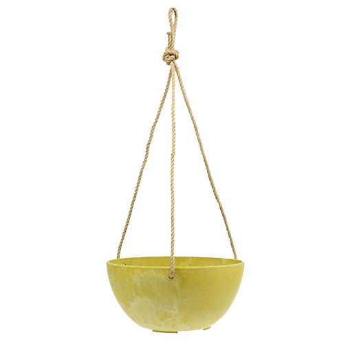 Floristik24 Blumenampel Fiona Ø25cm H12cm Lemon