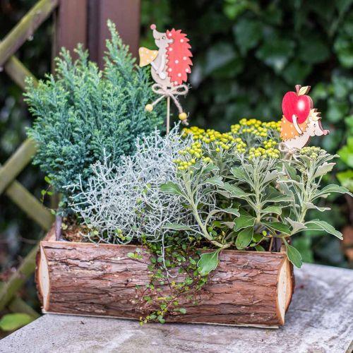 Floristik24 Blumenkasten, Holzkiste mit Rinde, Pflanztopf mit Griffen 38cm