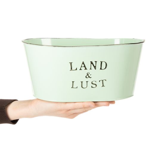 Blumenschale oval aus Metall Mint mit Vintage-Design 27×18×12 cm | Floristik24.ch