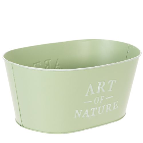 Blumenschale Oval Metall Mintgrün 27 x 18 x 12,5 cm für Pflanzen und Dekoration | Floristik24.ch