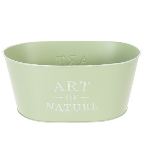 Blumenschale Oval Metall Mintgrün 27 x 18 x 12,5 cm für Pflanzen und Dekoration online kaufen | Floristik24.ch
