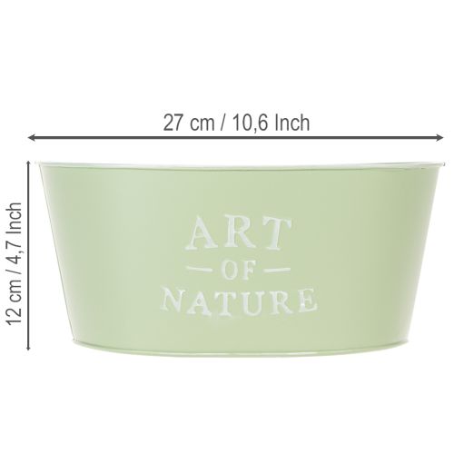 Blumenschale Oval Metall Mintgrün 27 x 18 x 12,5 cm für Pflanzen und Dekoration | Floristik24.ch
