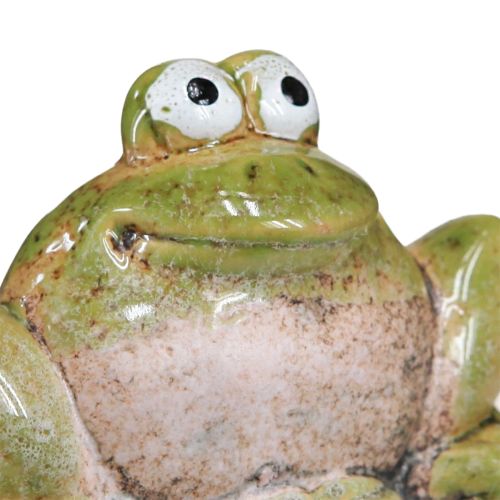 Floristik24 Blumenstecker Frosch Keramik Grün Braun 6x4x4,5cm 4 St