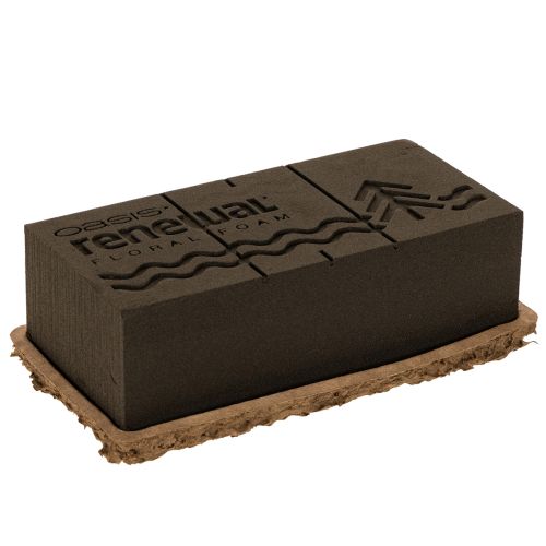 OASIS® Renewal® Floral Foam Biolit® Steckschaumziegel 1/1, braun, 24 × 13 × 8 cm, 2 Stück