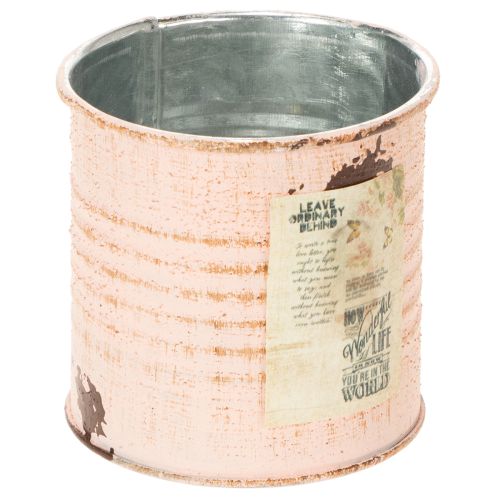 Metall Blumentopf Deko-Dose Lachs Ø8cm H7.5cm für Kräuter und Blumen | Floristik24.ch