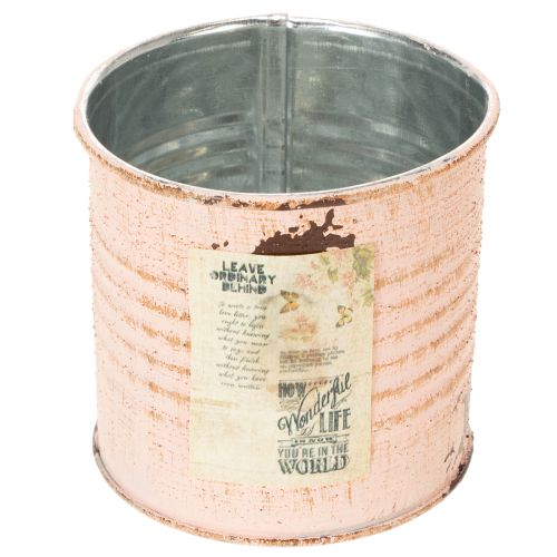 Metall Blumentopf Deko-Dose Lachs Ø8cm H7.5cm für Kräuter und Blumen online kaufen | Floristik24.ch