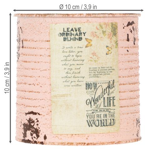 Artikel Blumentopf Deko Dose Lachs Metall Sommerdeko Ø11cm H10,5cm