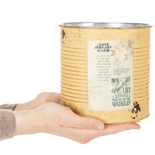 Artikel Blumentopf Vintage Design Dose für Wohnzimmer und Büro Dekoration 15cm 3St