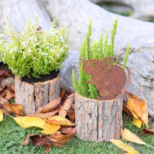 Blumentopf Holz Übertopf Rinde und Maus Edelrost H24cm