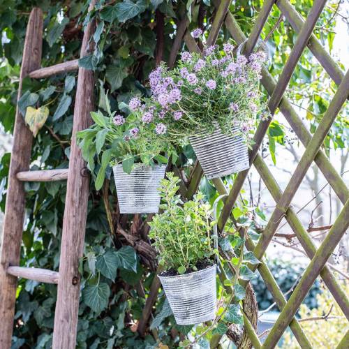 Floristik24 Blumentopf zum Hängen Metall Antik Creme Ø13cm H11,5cm