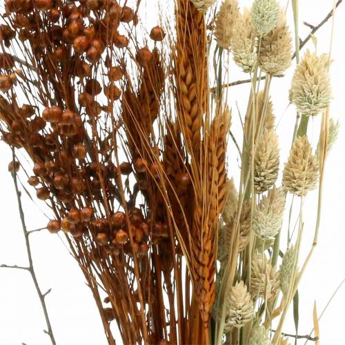 Floristik24 Wildblumen-Bouquet Natur, Orange 25–60cm 65g