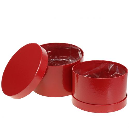 Artikel Blumenbox Rot glänzend Ø18/20cm 2 St