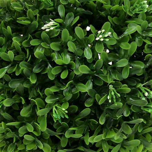 Floristik24 Buchsbaum Kugel mit Blüten Dekokugel Grün Ø18cm 1 St