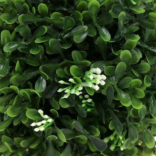 Floristik24 Buchsbaum-Kugel mit Blüten Grün Deko-Kugel Ø15cm 1 St