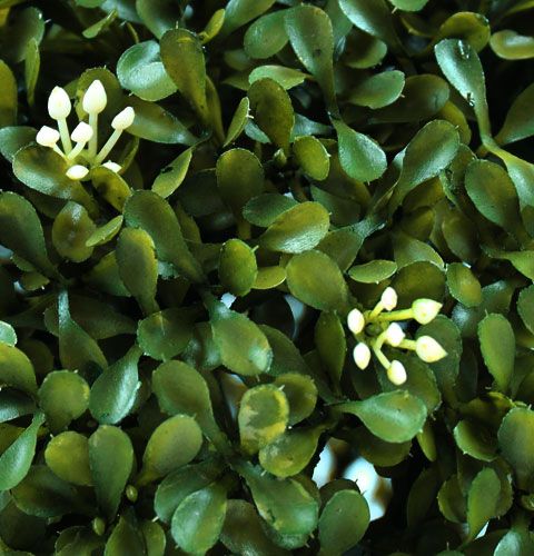 Floristik24 Buchskugel Ø30cm