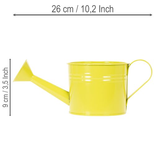 Bunte Giesskannen aus Metall Ø11cm H9,5cm, Tischdekoration, 8er-Set | Floristik24.ch