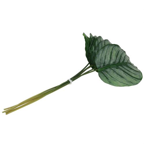 Floristik24 Deko-Blatt, Calathea Blatt 6St