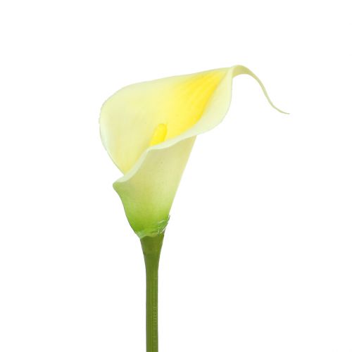 Floristik24 Künstliche Calla Gelb 57cm 12 St