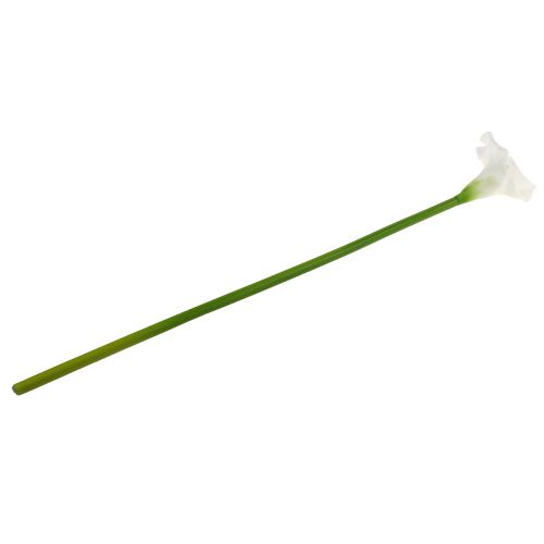 Floristik24 Künstliche Calla Weiß 67cm