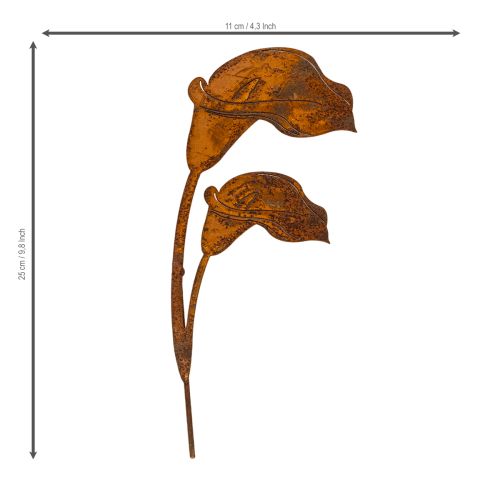 Gartenstecker Calla Blüte aus Metall Rostoptik 25 cm 6er-Set | Floristik24.ch